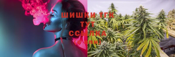дмт Аркадак