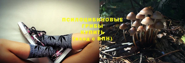 индика Армянск