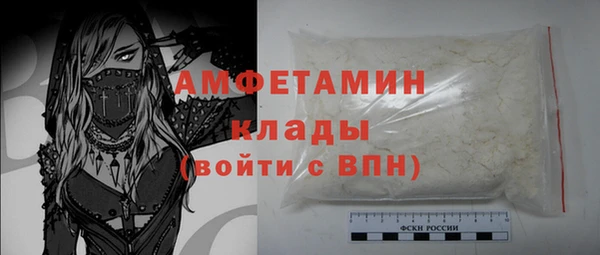 индика Армянск