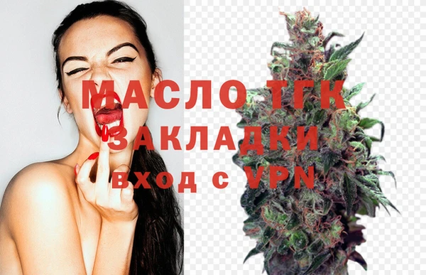 индика Армянск
