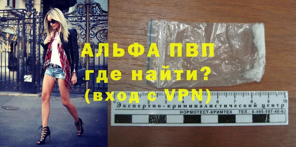 твердый Арсеньев