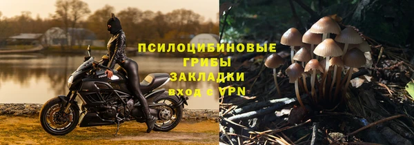 твердый Арсеньев