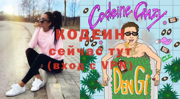индика Армянск