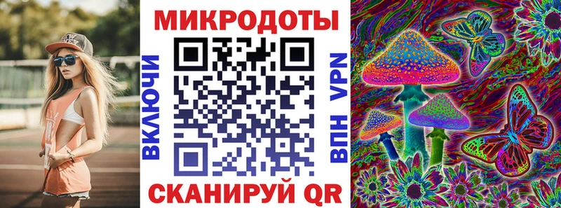 Псилоцибиновые грибы Psilocybe  Ухта 